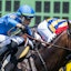 Horse Racing Fairmount