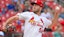Matthew Liberatore St. Louis Cardinals MLB