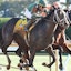 Forte running at the Clairborne Breeders' Futurity G1