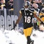 Mike Williams Pittsburgh Steelers NFL