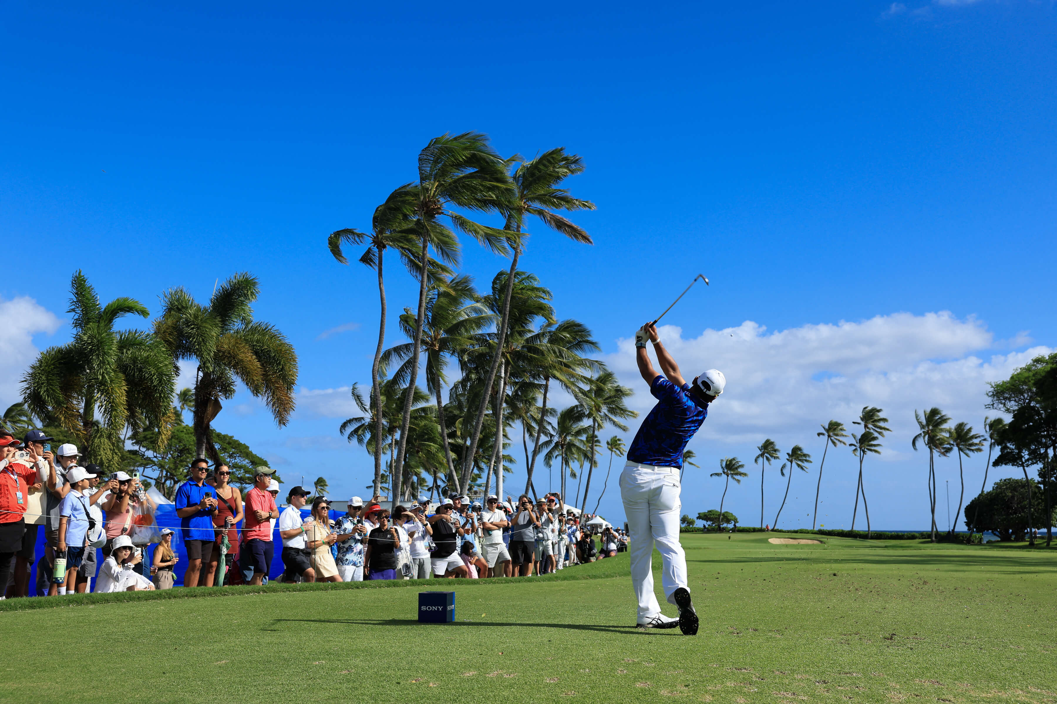 How To Bet - Hawaii Bill Aims to Define Prediction Markets as Illegal Gambling