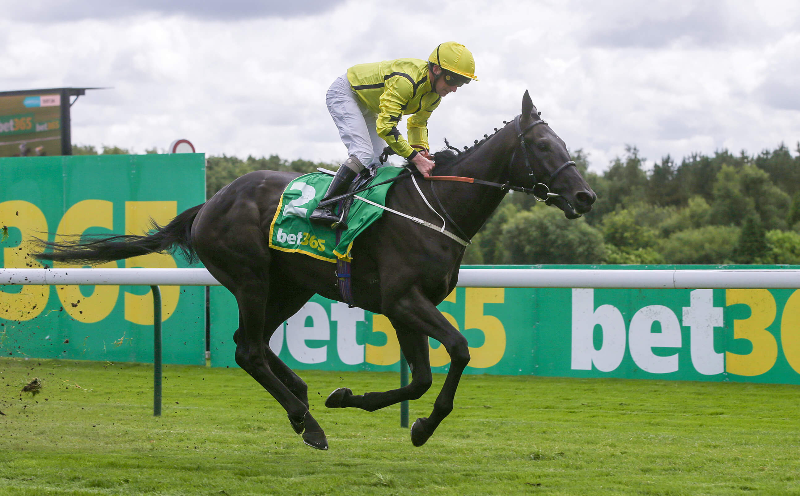 How To Bet - bet365 Back in the Black in Latest Financial Report 