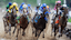 The field heads towards the first turn during 2025 Kentucky Oaks race at Churchill Downs.