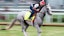 Kentucky Derby Sandman horse racing