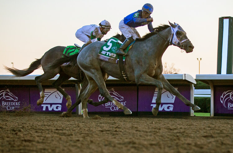 How To Bet - Breeders' Cup Classic: Horses, Predictions and Trifecta Pick