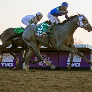 Essential quality Breeders' Cup horse racing