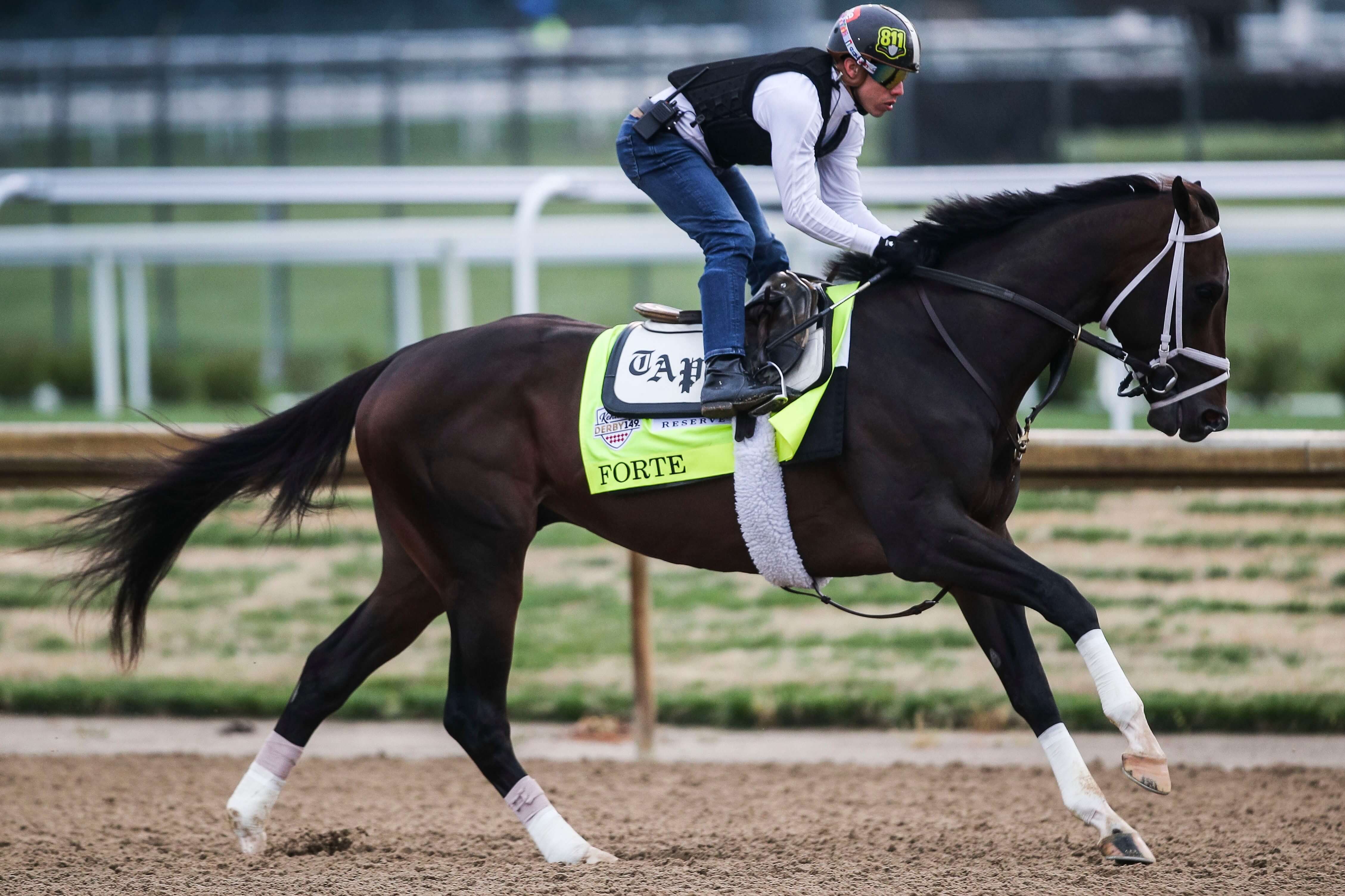 How To Bet - 2023 Belmont Stakes Odds: Forte Figures to be Favored