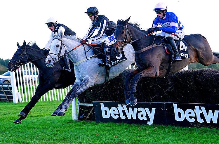 Lorcan William Betway Haldon Gold Cup Day