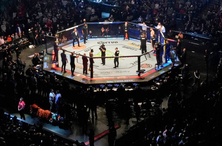 UFC Octagon 2024