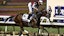 Thorpedo Anna horse racing