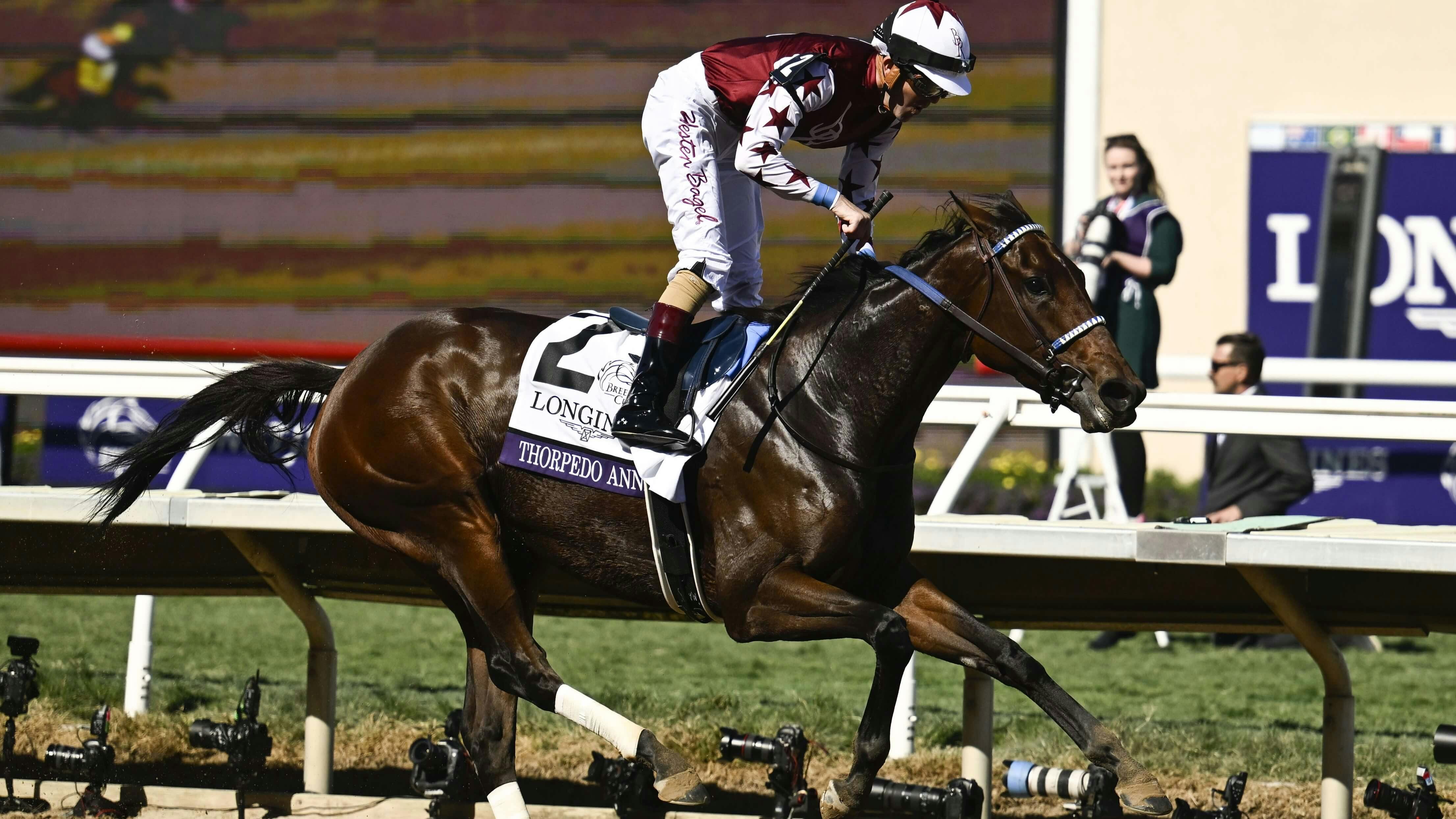 Road to the Breeders' Cup Picks & Best Bets for June 28: Fleur de Lis Stakes + Stephen Foster Stakes