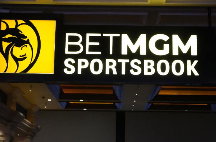 How To Bet - Seven Major Sportsbooks Launch Responsible Online Gaming Association