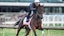 Kentucky Oaks La Cara