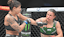 Raquel Pennington UFC 307