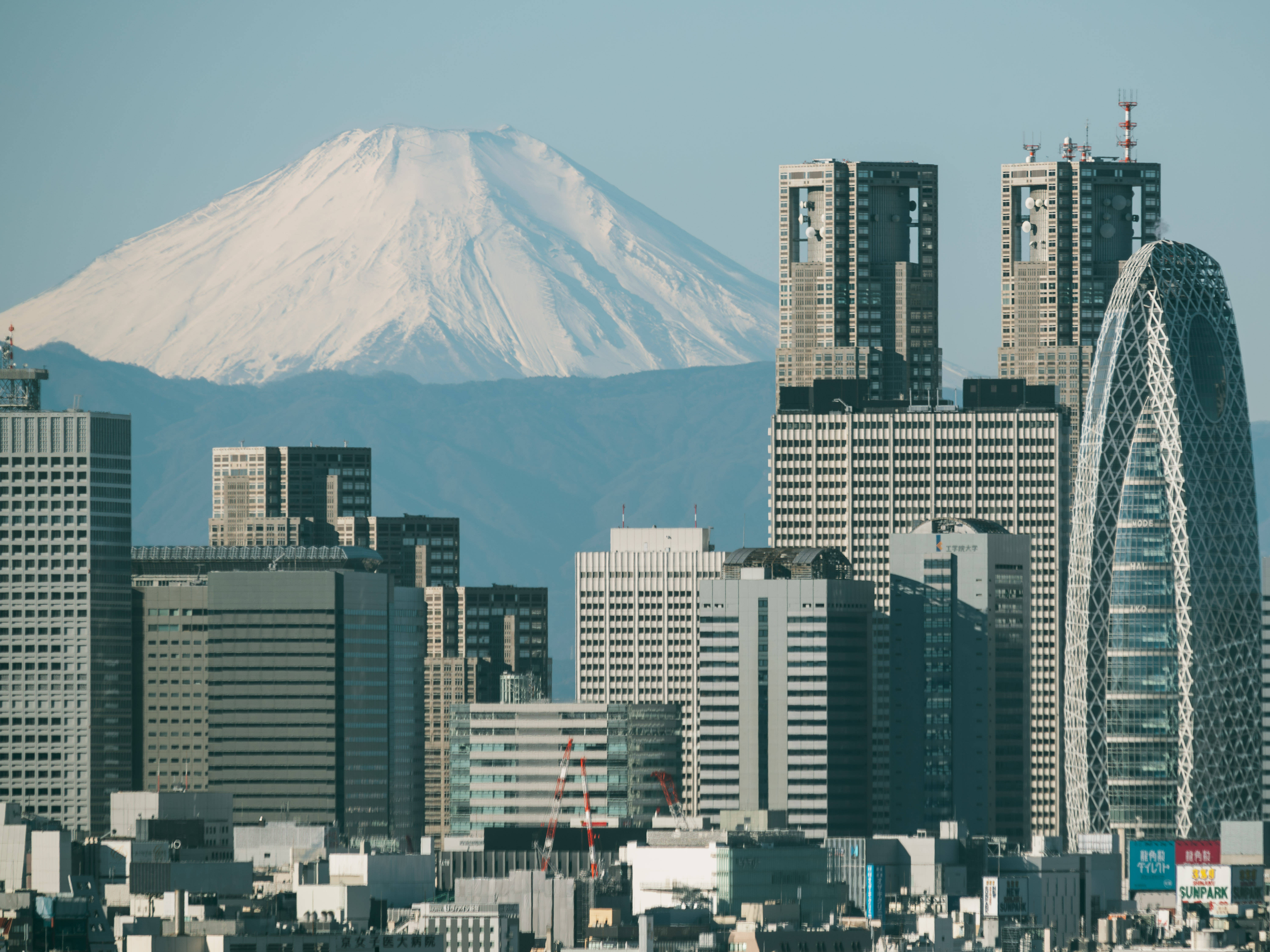 How To Bet - Study Finds Japanese Gamblers Have Spent Over $44 Billion on Illegal Sports Wagers