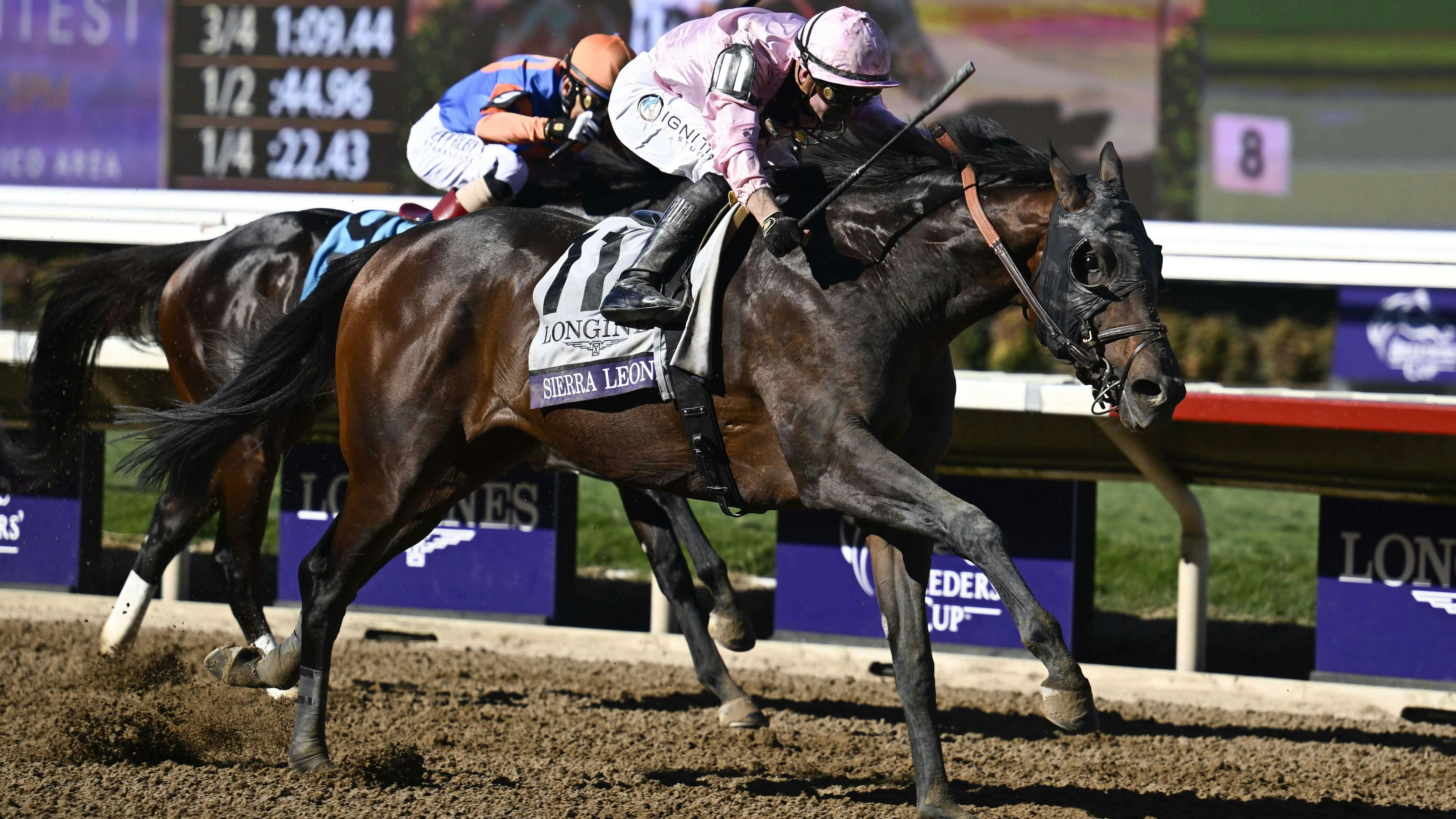 Breeders' Cup Odds: Sierra Leone Wows in Whitney, Now Second Choice in Classic
