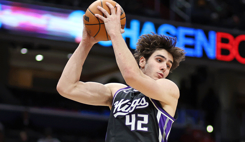  Maxime Raynaud (42) grabs a rebound during the first half against the Washington Wizards at Capital One Arena.