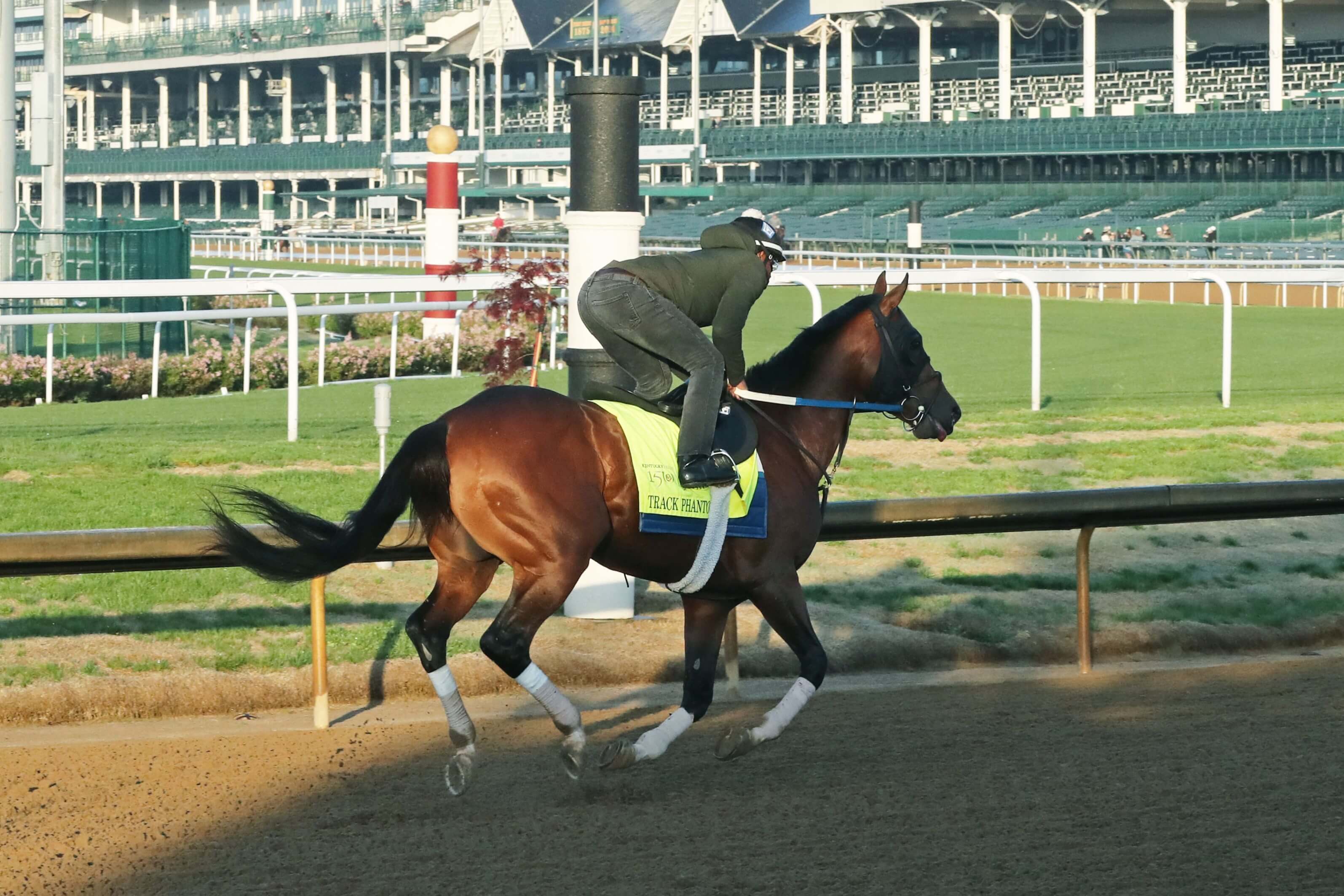Kentucky Derby Odds: Favorite Horses and Contenders for 2024