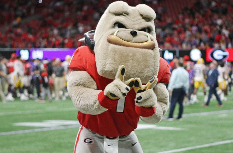 Georgia Bulldogs College Football NCAA