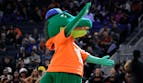 Did Florida Cover the Spread? NCAA National Championship Game Results