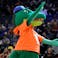 Florida Gators mascot Albert Gator during the first half of a game against the Maryland Terrapins.