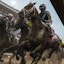 Preakness Stakes Journalism horse racing