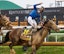 Jockey Junior Alvarado celebrated after riding Sovereignty to victory in the 151st Kentucky Derby at Churchill Downs in Louisville, Kentucky. May 3, 2025. Jeff Faughender/Courier Journal / USA TODAY NETWORK via Imagn Images