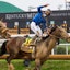 Jockey Junior Alvarado celebrated after riding Sovereignty to victory in the 151st Kentucky Derby at Churchill Downs in Louisville, Kentucky. May 3, 2025. Jeff Faughender/Courier Journal / USA TODAY NETWORK via Imagn Images