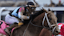 Journalism and jockey Umberto Rispoli go into the front stretch during the 151st running of the Kentucky Derby.