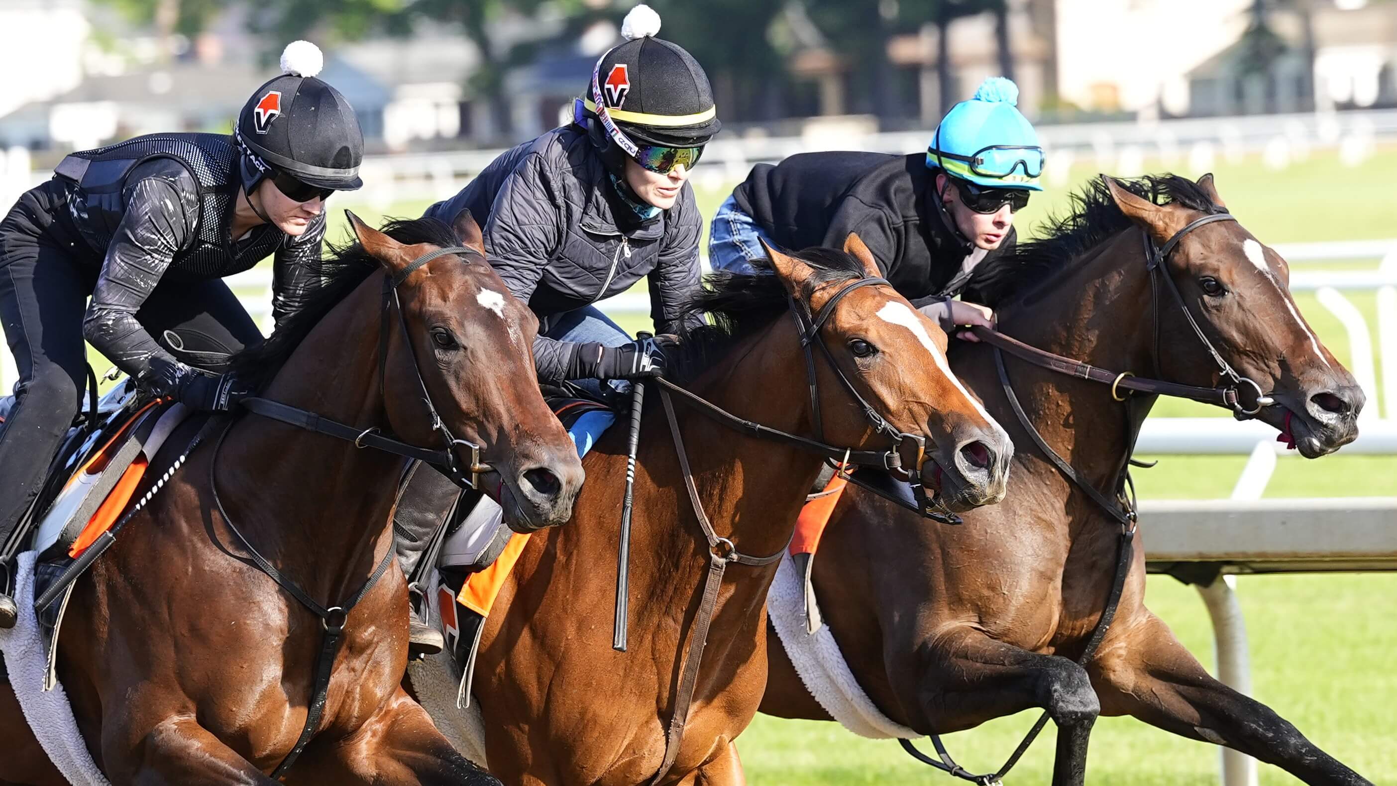 How To Bet - Belmont Stakes Payouts: Win, Place, Show Results