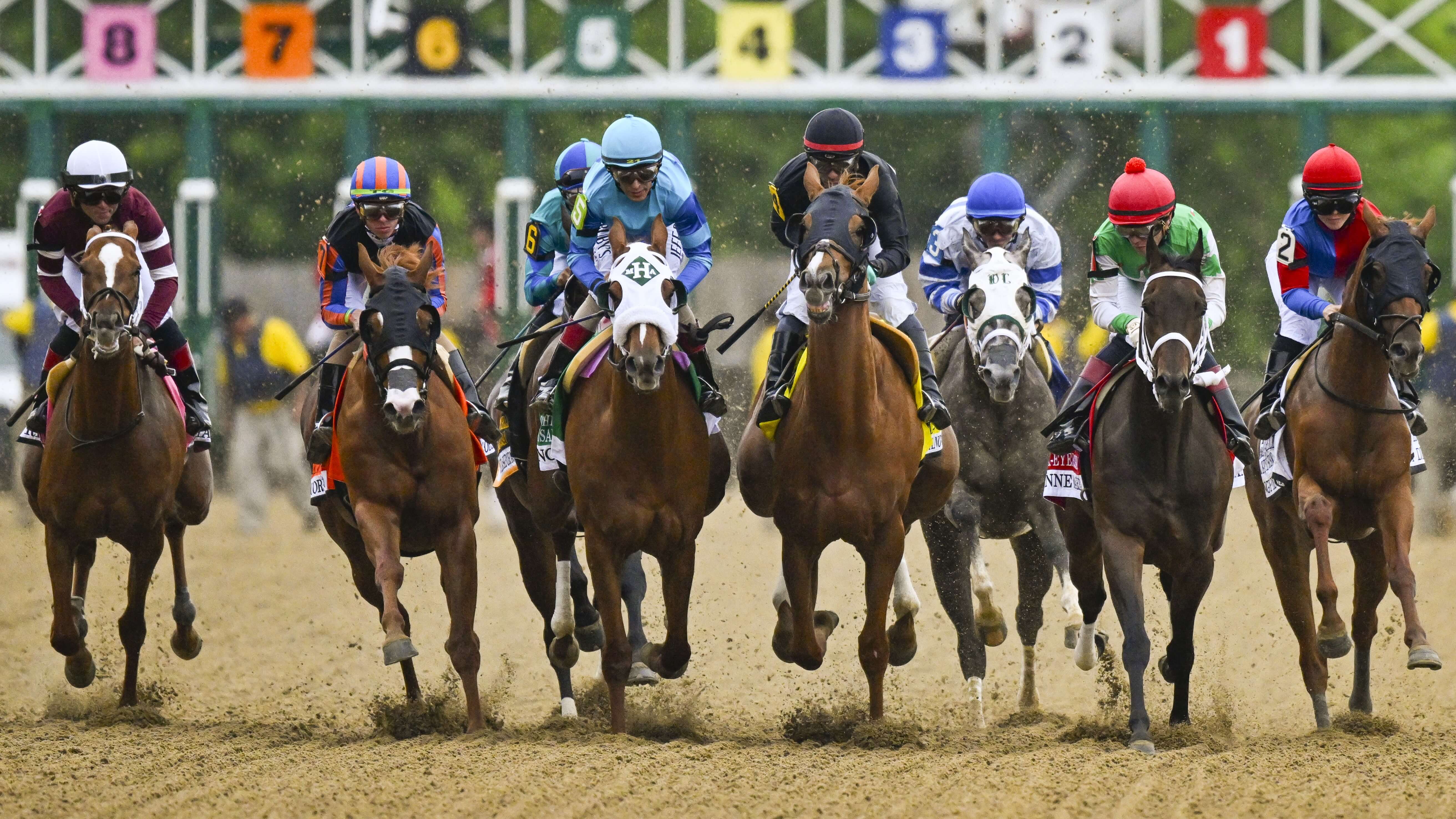 How To Bet - 2025 Preakness Stakes Post Position Draw: Journalism Draws Post 2