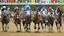 Pimlico starting gate Preakness Stakes
