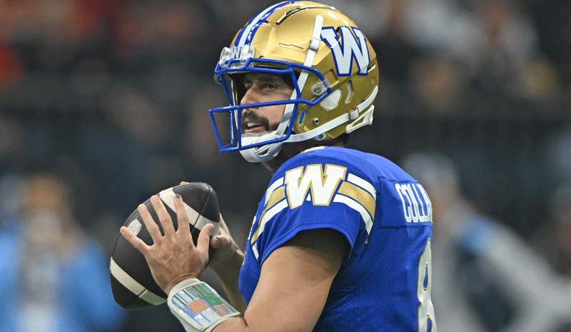 Stampeders vs Blue Bombers Prediction, Picks & Odds for CFL Week 7 