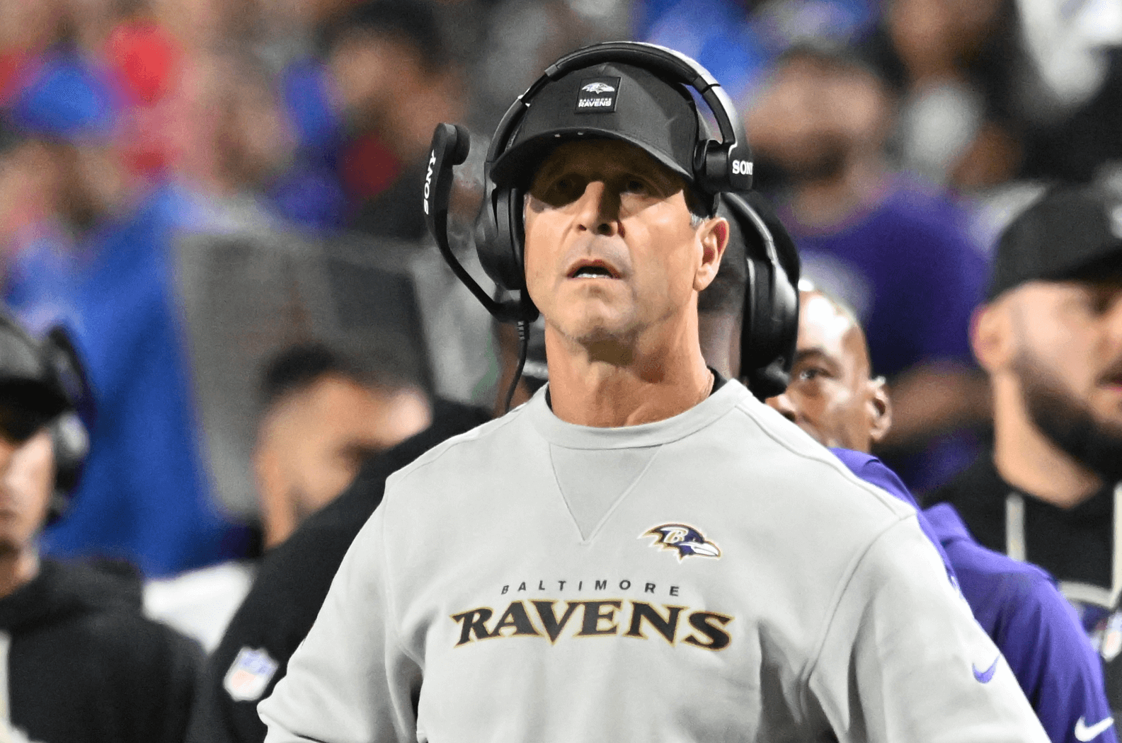 How To Bet - Super Bowl Odds: Ravens Still Favored Despite Last Second Loss to Bills