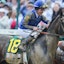 Sovereignty horse racing