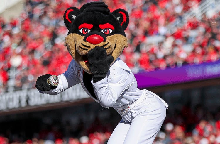 Cincinnati Bearcats mascot