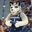 Uconn NCAAB