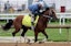 Mystik Dan Preakness Stakes 2024