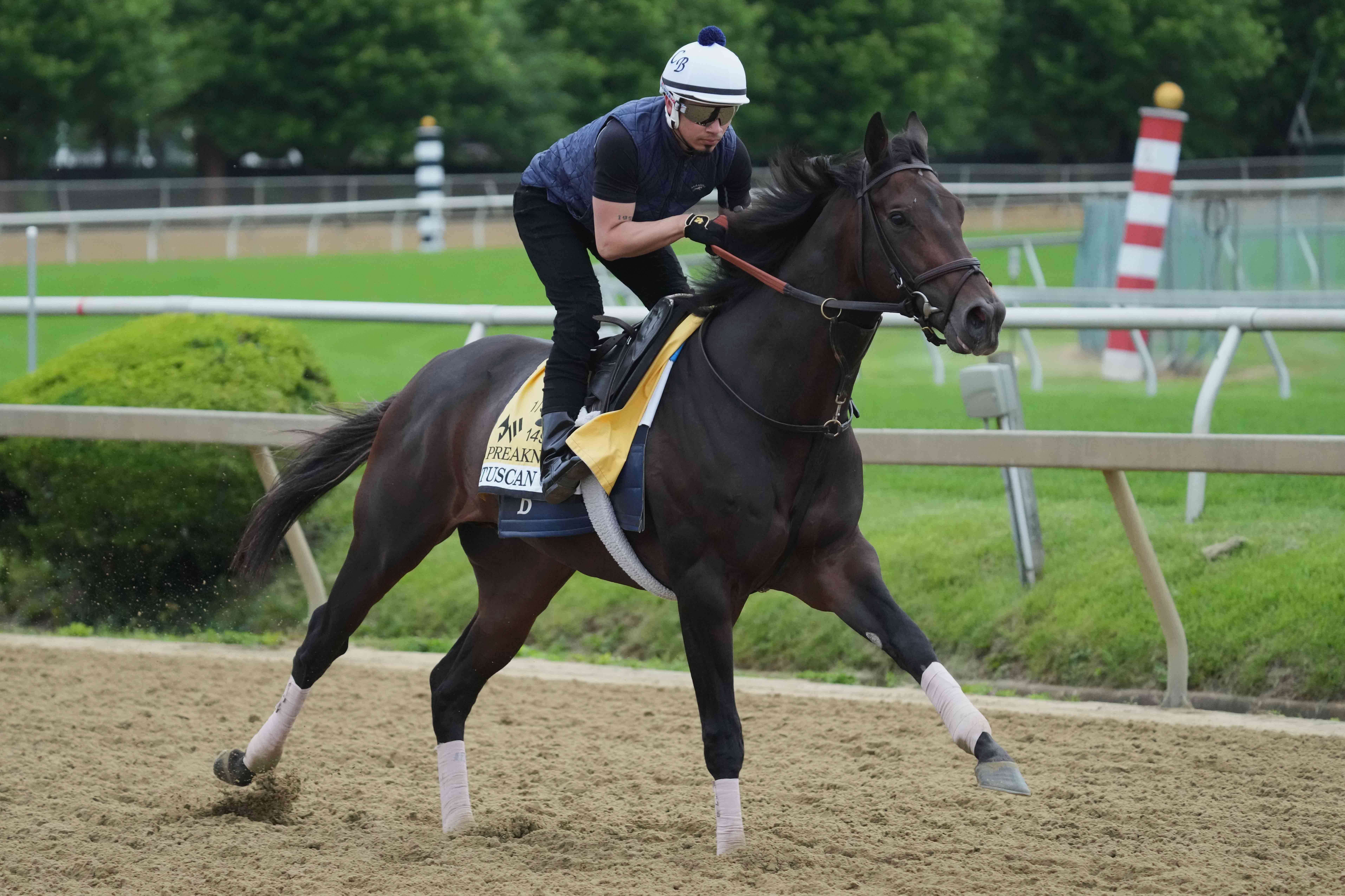How To Bet - Preakness Stakes Predictions: Win, Place & Show Picks for 2024