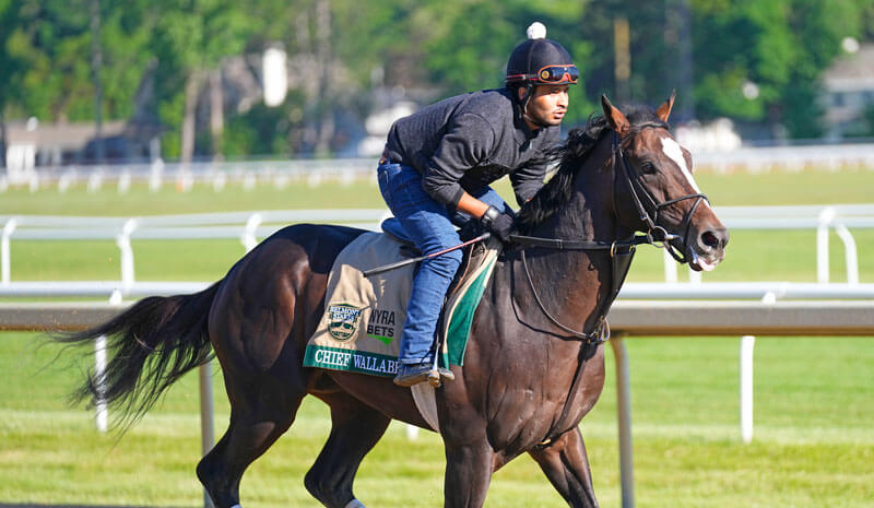 How To Bet - 2026 Belmont Stakes Picks: Exacta, Trifecta & Superfecta Best Bets