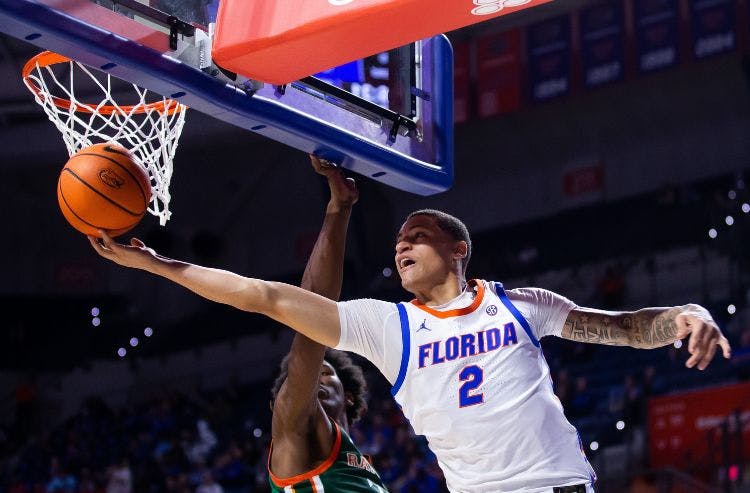 Florida Gators NCAAB