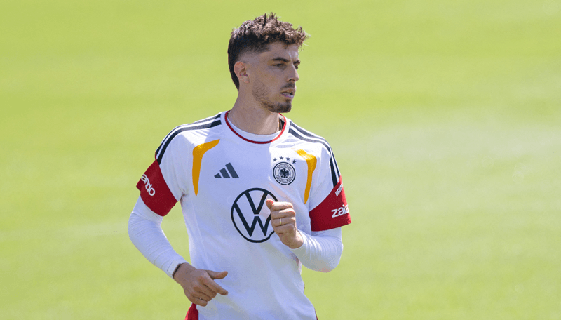 How To Bet - World Cup Group E Expert Picks: Daily World Cup Picks and Predictions