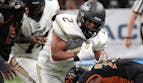 Blue Bombers vs Elks Prediction, Picks & Odds for CFL Week 19