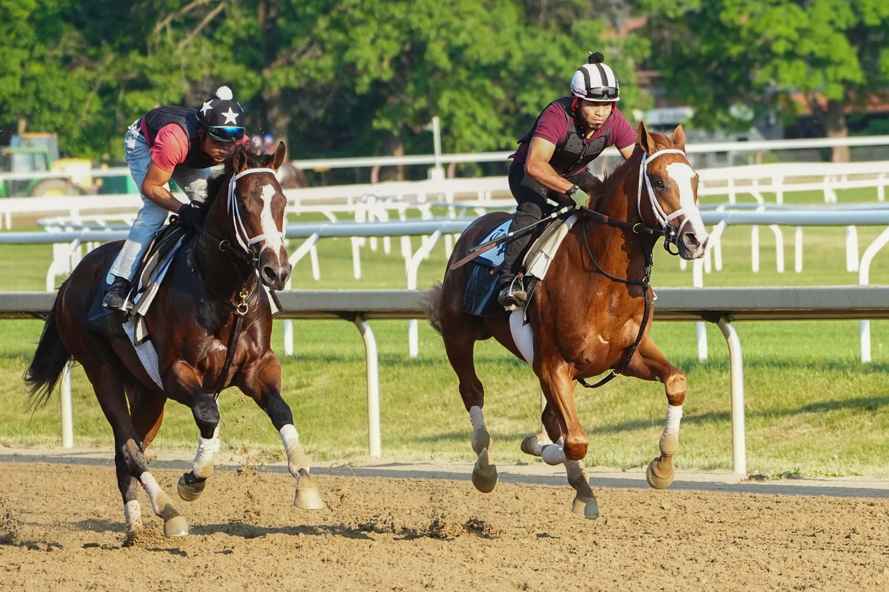 How To Bet - Belmont Stakes Long Shot Odds: Underdogs and Sleeper Bets for 2024