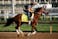Mystik Dan horse racing Kentucky Derby Preakness Stakes Triple Crown