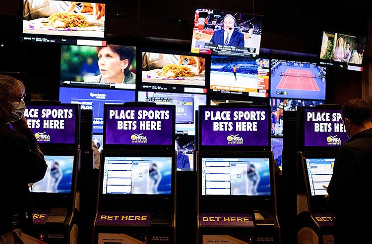 Sports betting photo