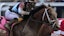 Preakness Stakes Horse Racing Journalism