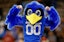 Air Force Falcons football