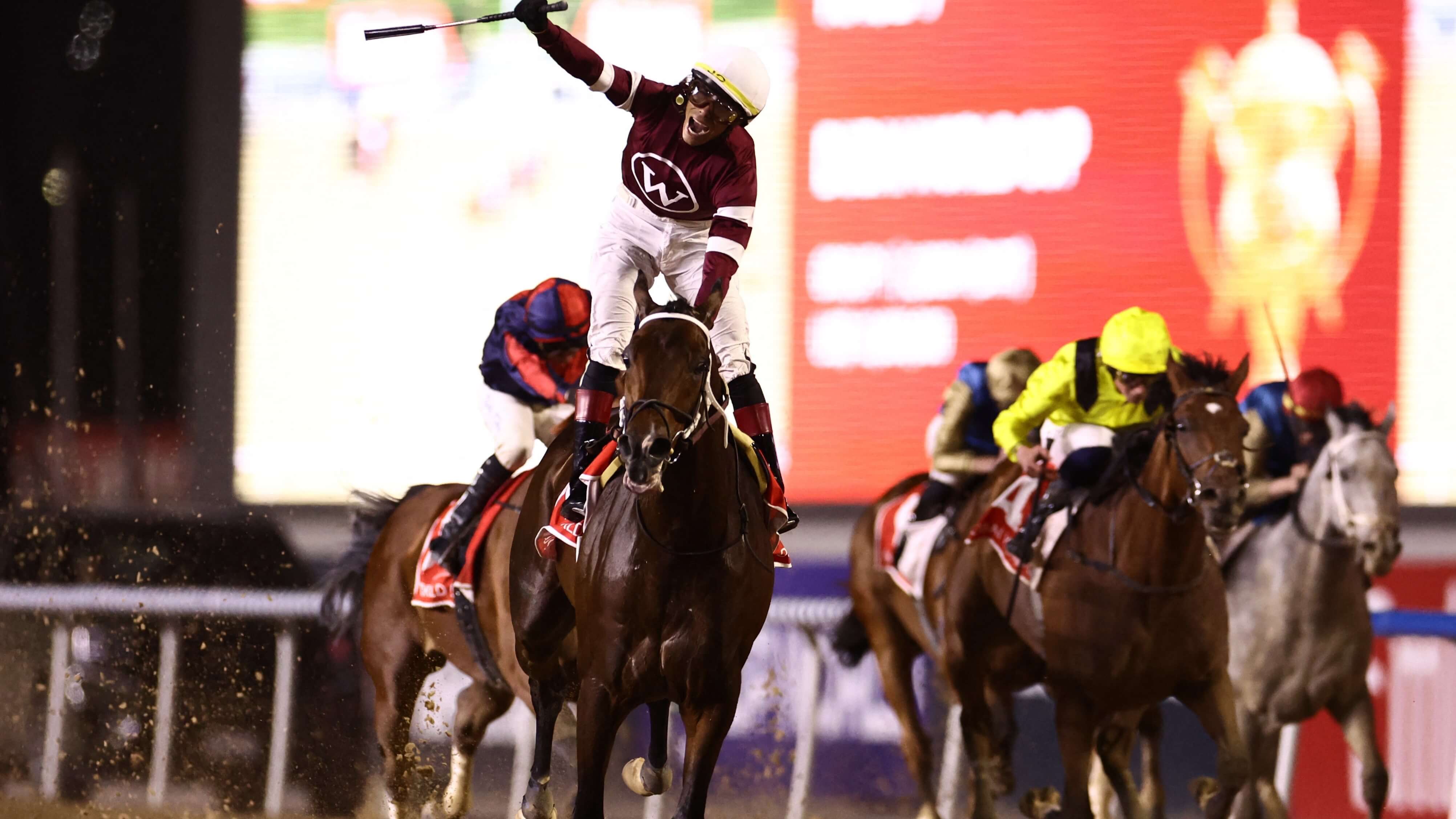 How To Bet - Breeders' Cup Odds: Magnitude Can Move Into Top Spot in Classic Betting With Whitney Win