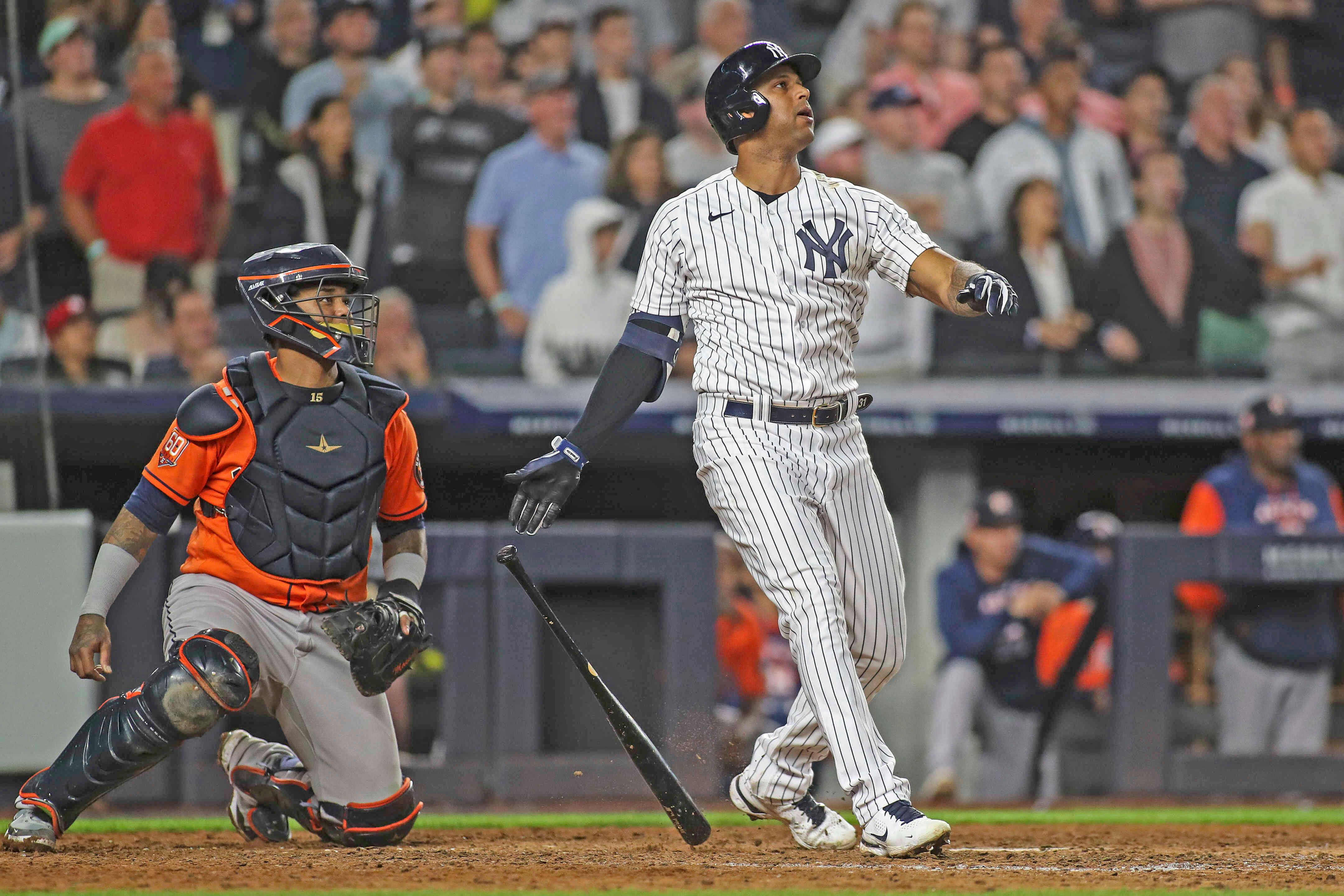 Aaron Hicks New York Yankees MLB